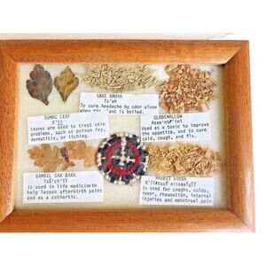 Vintage Medicinal Leaves and Seeds Framed in Glass Excellent Fast Shipping